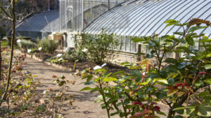 [Circle U.] Visite et reconnaissance de plantes à l’occasion de la journée internationale de la Terre Nourricière @ Jardin botanique