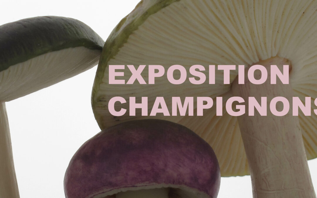Exposition Champignons