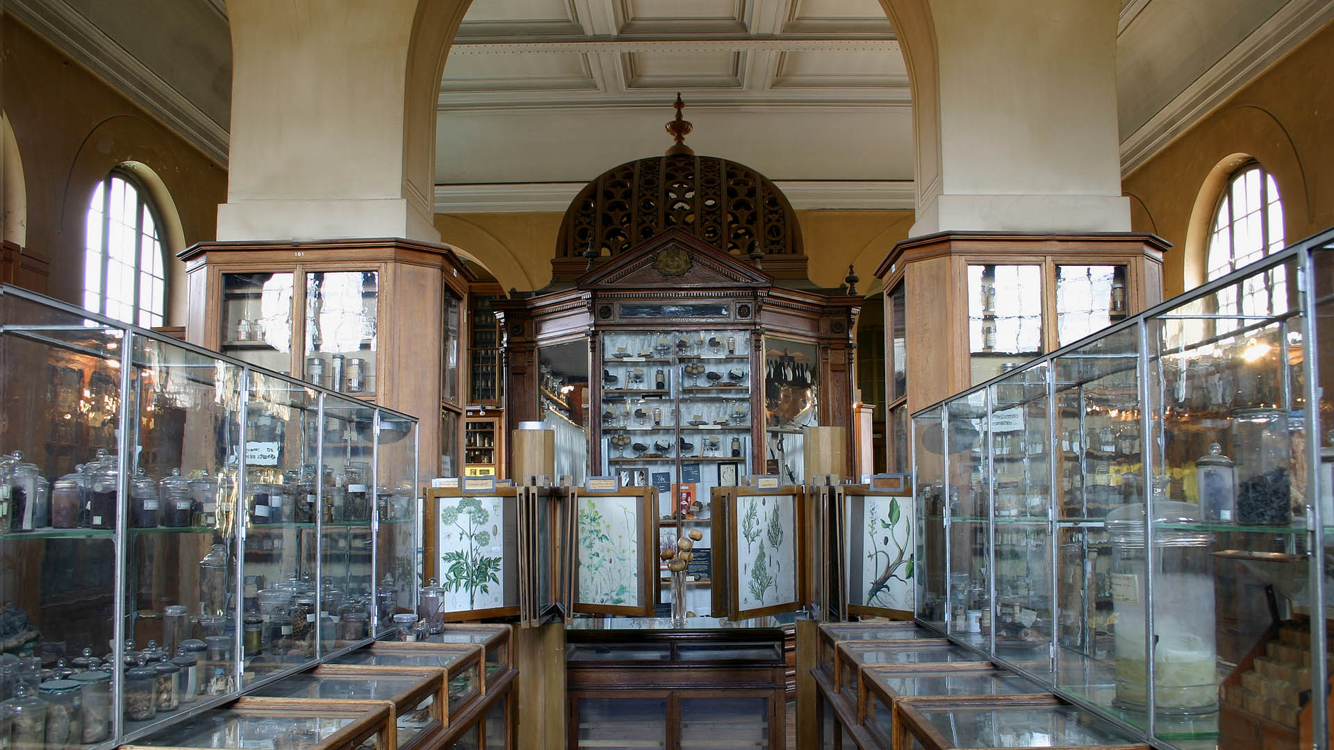 Mus e Fran ois Tillequin Facult De Pharmacie De Paris