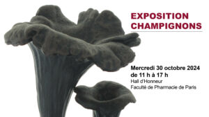 Exposition Champignons @ hall d'Honneur - Faculté de Pharmacie de Paris