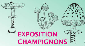 Exposition Champignons @ Salons du Doyen